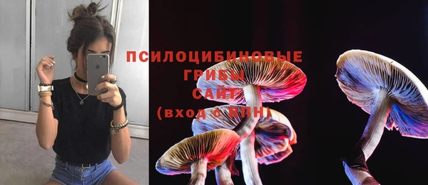 альфа пвп Покровск