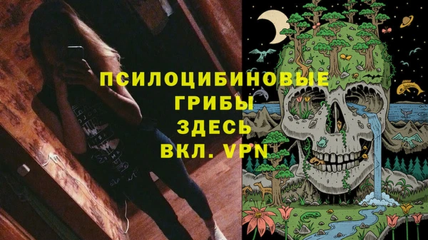 бошки Абдулино