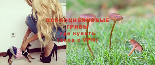 прущая мука Абаза