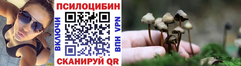 Галлюциногенные грибы Psilocybe  где можно купить наркотик  Котово 