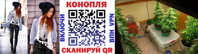 где купить наркоту Котово Марихуана OG Kush